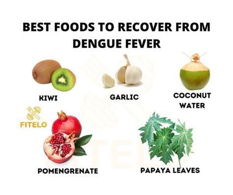 how long to recover from dengue fever